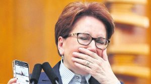 aksener-iktidari-ve-muhalefeti-birlikte-hedef-aldi-hacivat-da-karagoz-de-memnun-z3OjNEDO.jpg