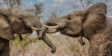 Fillerin-Hortum-Sirri-Cozuldu-Dokunma-Killari-Kilit-Rol-Oynuyor-featured