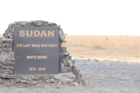 Afganistan-Depreminde-Can-Kaybi-Bilancosu-Agirlasiyor-Pakistan8217dan-Kritik-Aciklama-featured