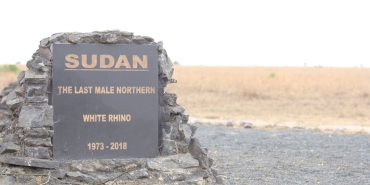 Afganistan-Depreminde-Can-Kaybi-Bilancosu-Agirlasiyor-Pakistan8217dan-Kritik-Aciklama-featured