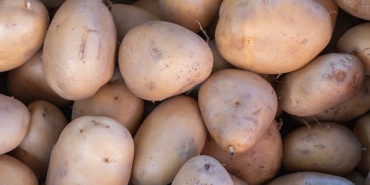 Secularism-Cornerstone-of-Public-Sovereignty-and-Modern-Democracy-featured