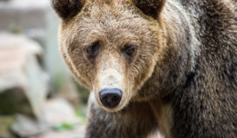 Trabzonspor-Rizespor-Derbisi-Kritik-Karsilasma-Ne-Zaman-Saat-Kacta-featured